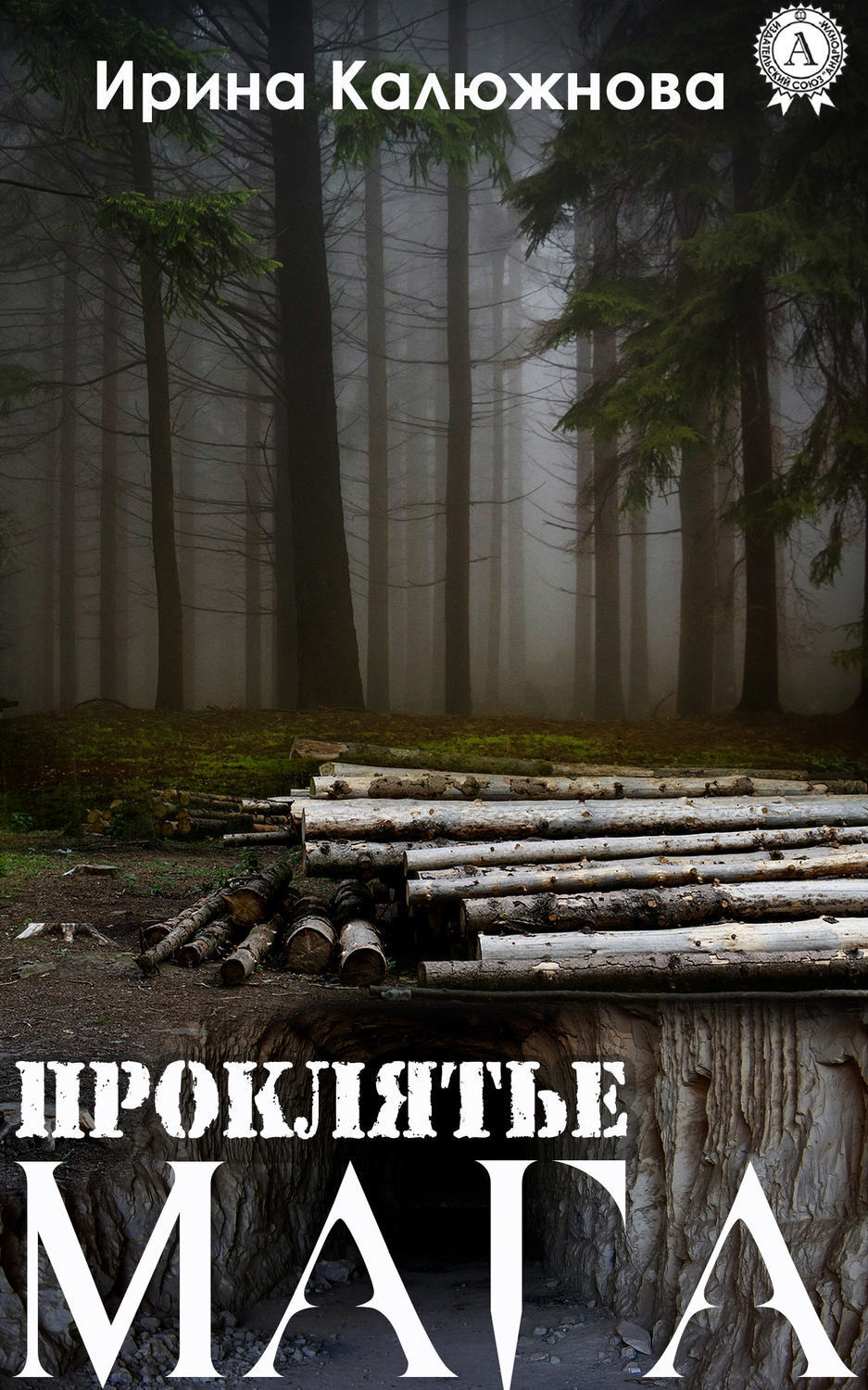 Обложка книги «Проклятье мага»