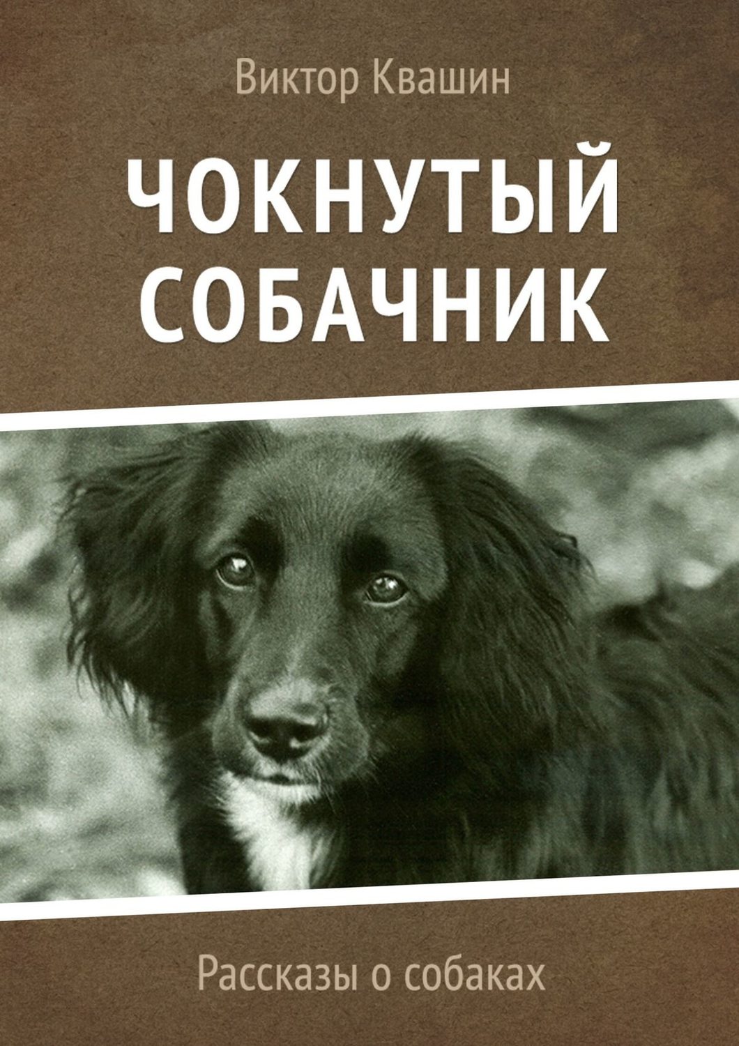 Обложка книги «Чокнутый собачник. Рассказы о собаках»