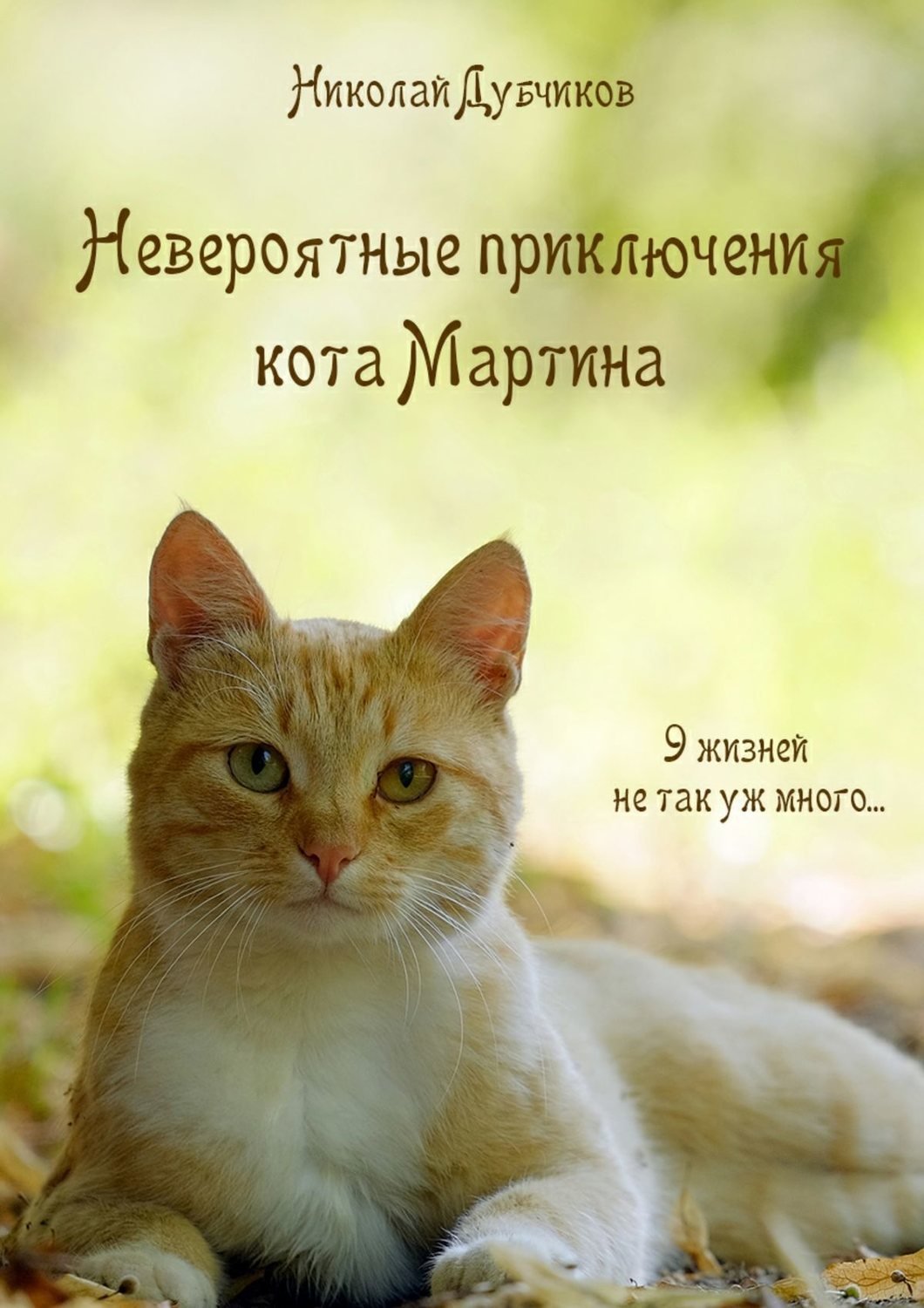 Обложка книги «Невероятные приключения кота Мартина»