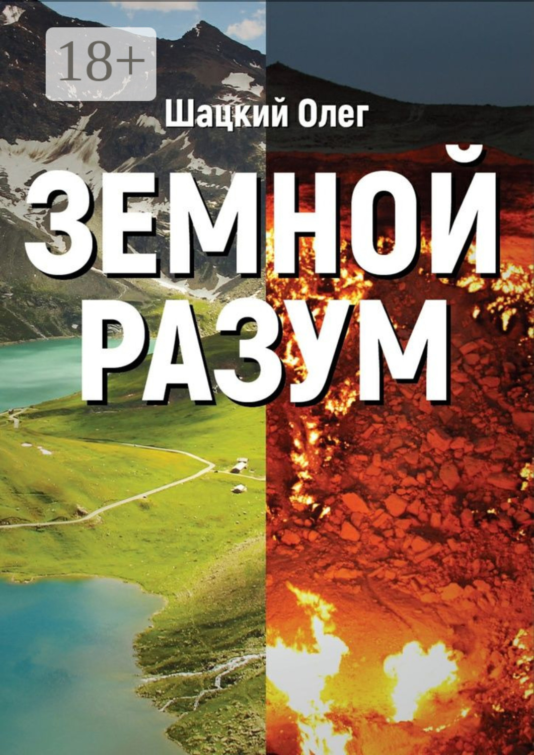 Обложка книги «Земной разум»