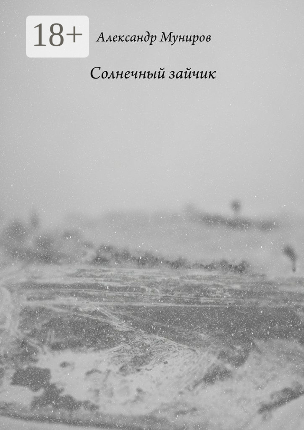 Обложка книги «Солнечный зайчик»