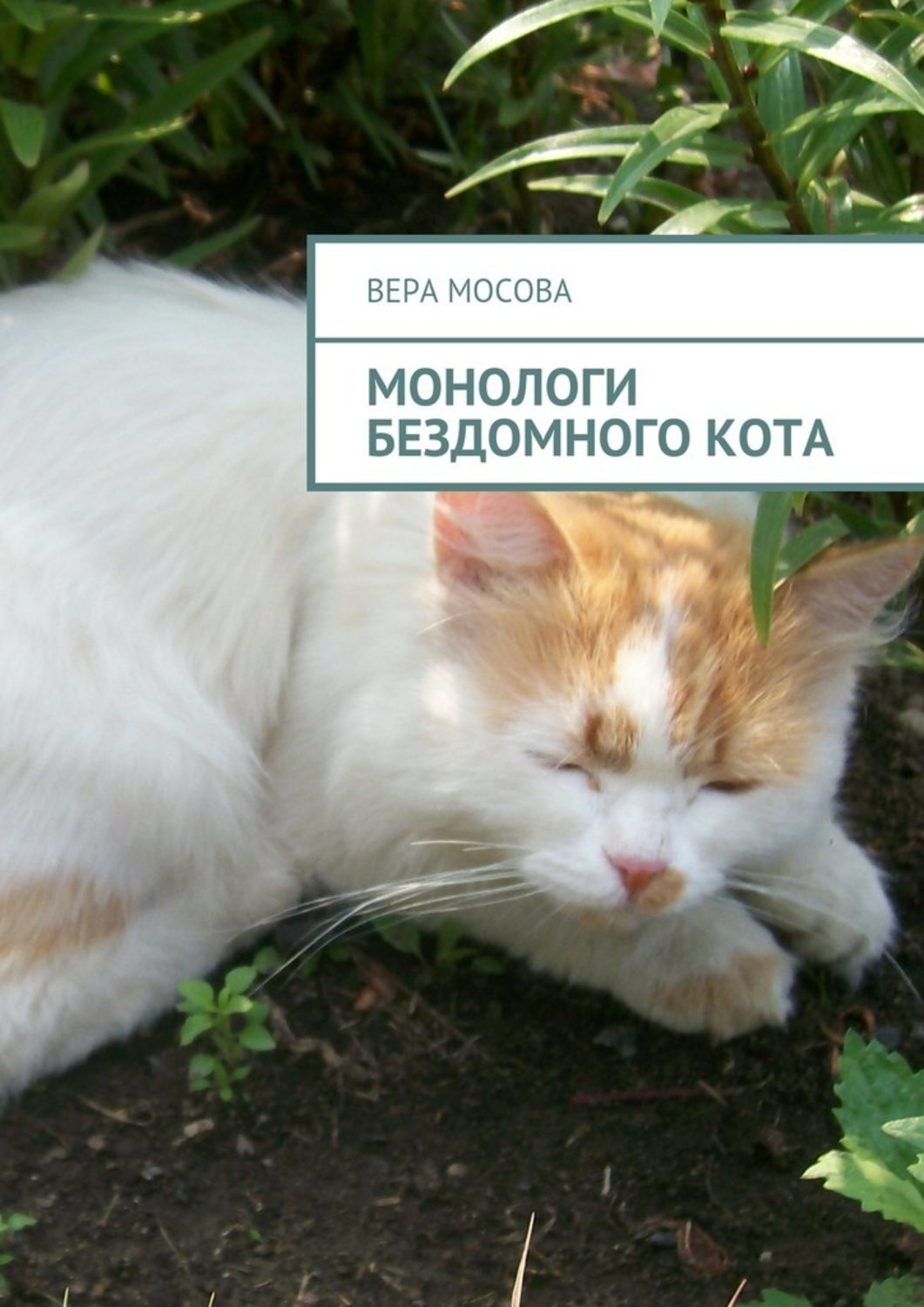Обложка книги «Монологи бездомного кота»