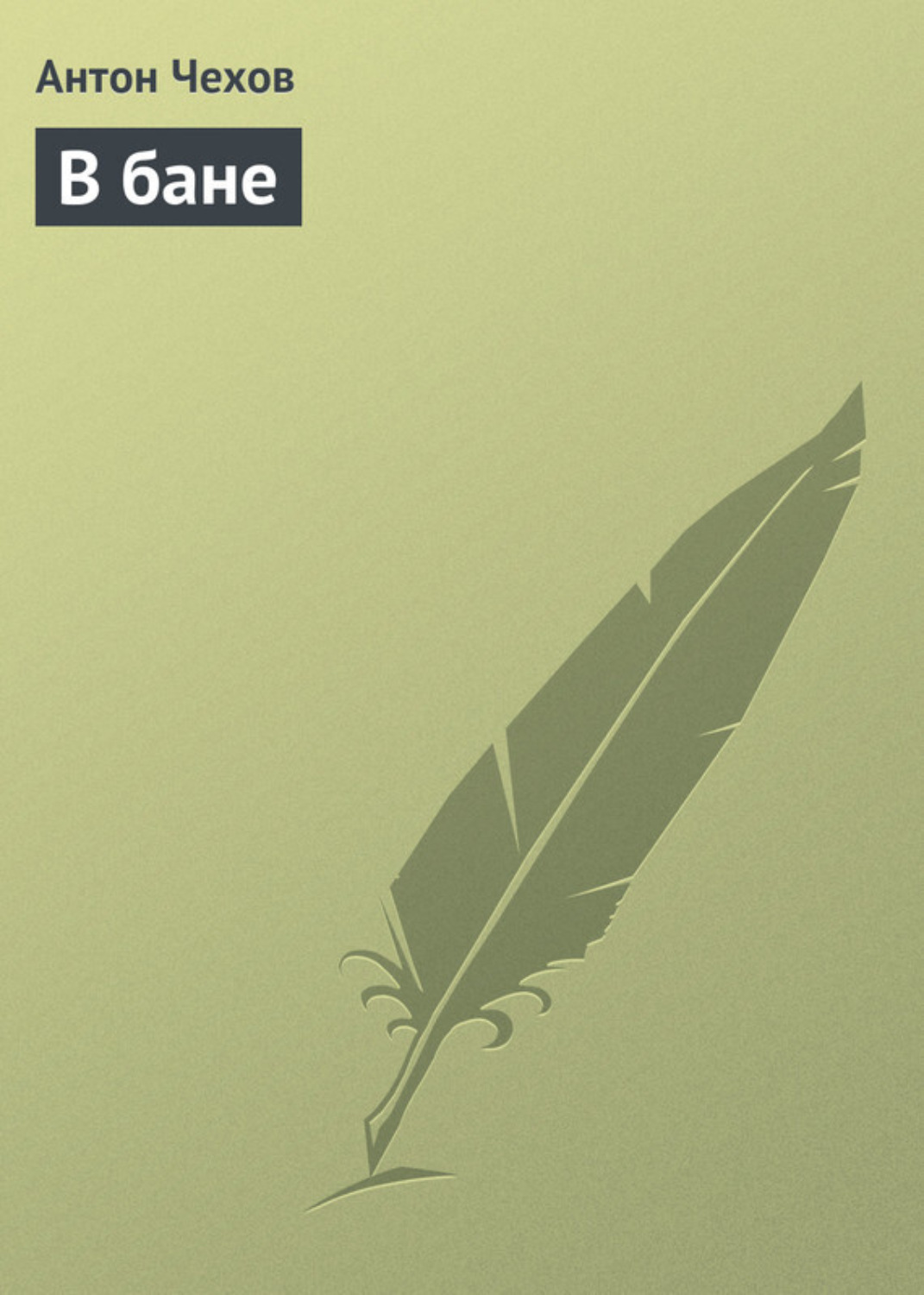 Обложка книги «В бане»