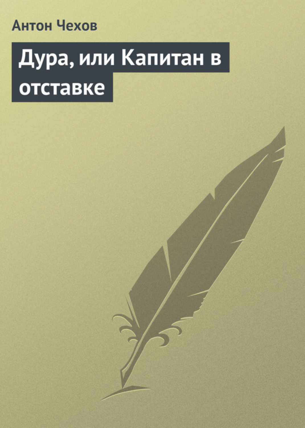 Обложка книги «Дура, или Капитан в отставке»