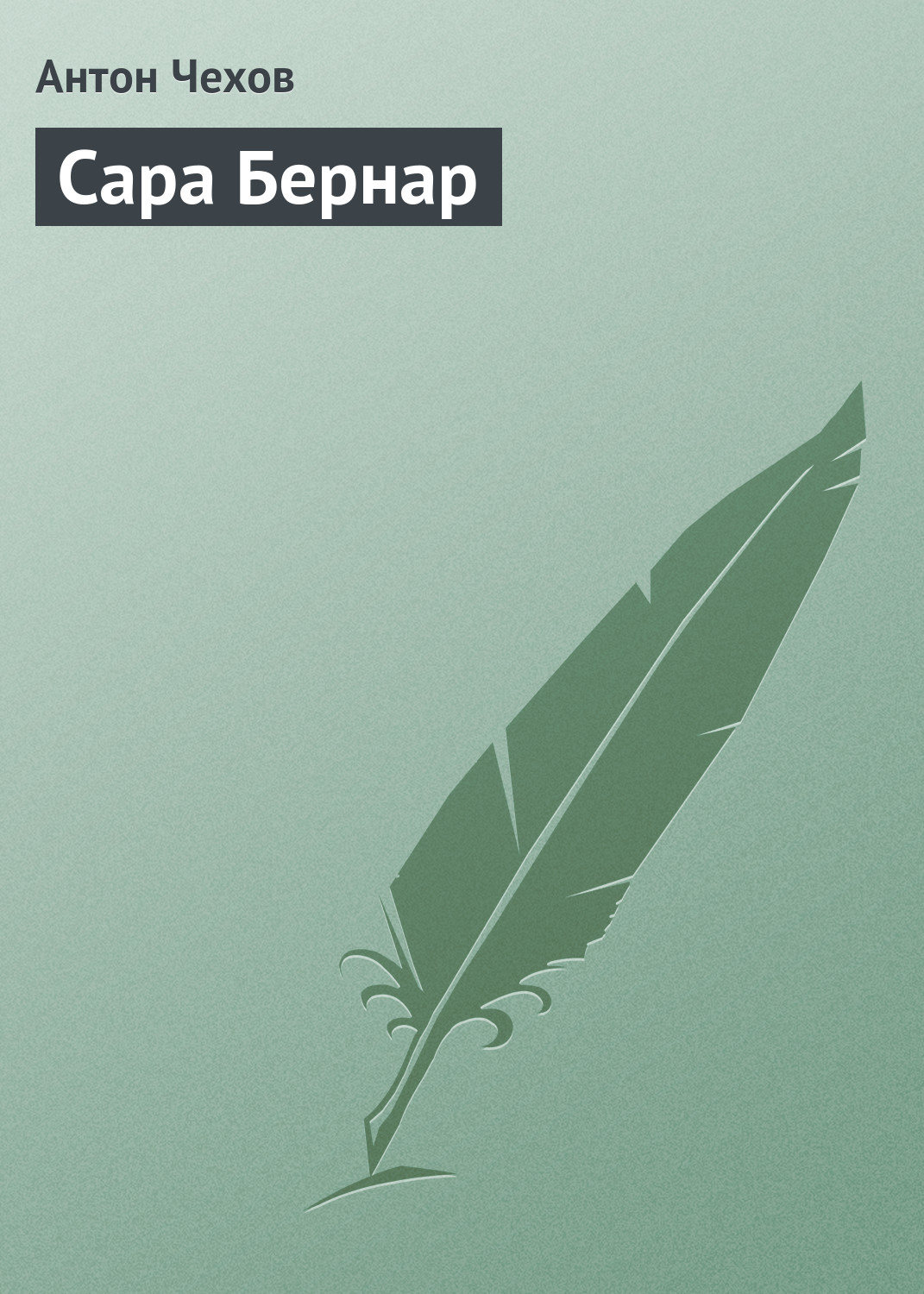 Обложка книги «Сара Бернар»
