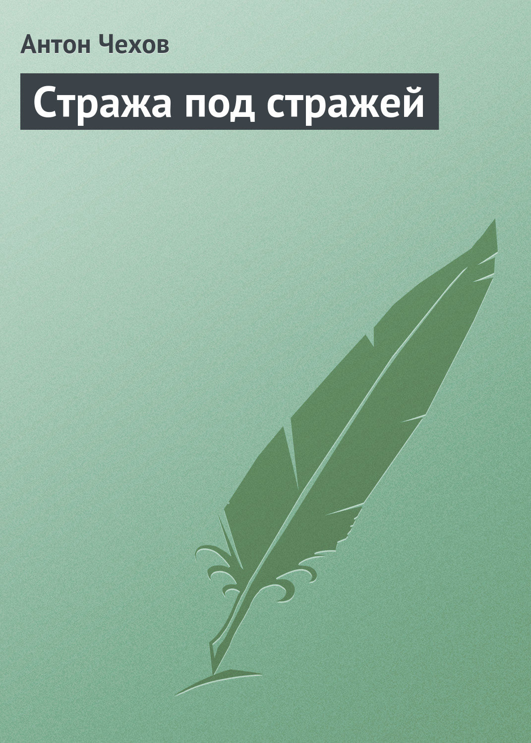 Обложка книги «Стража под стражей»