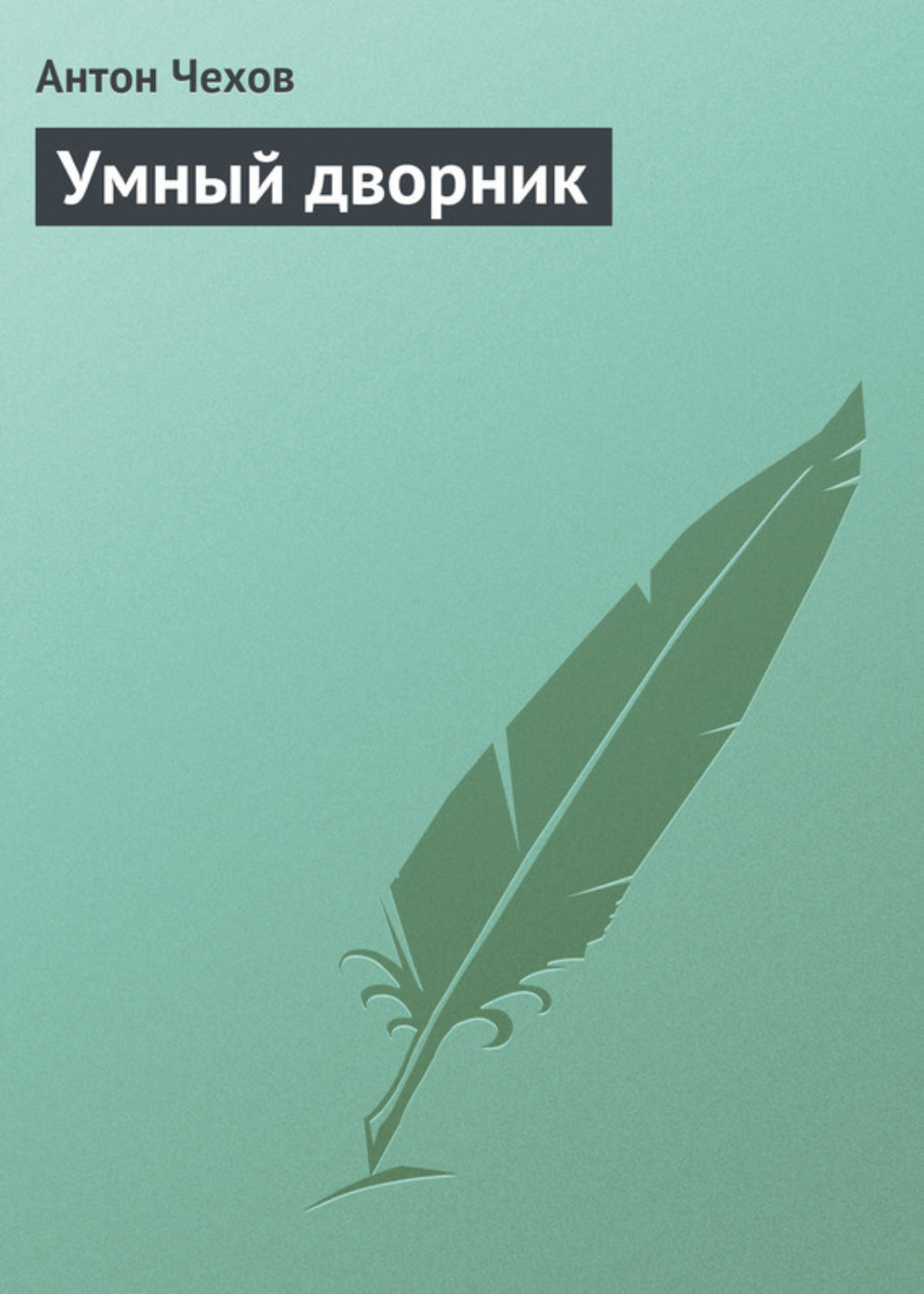 Обложка книги «Умный дворник»