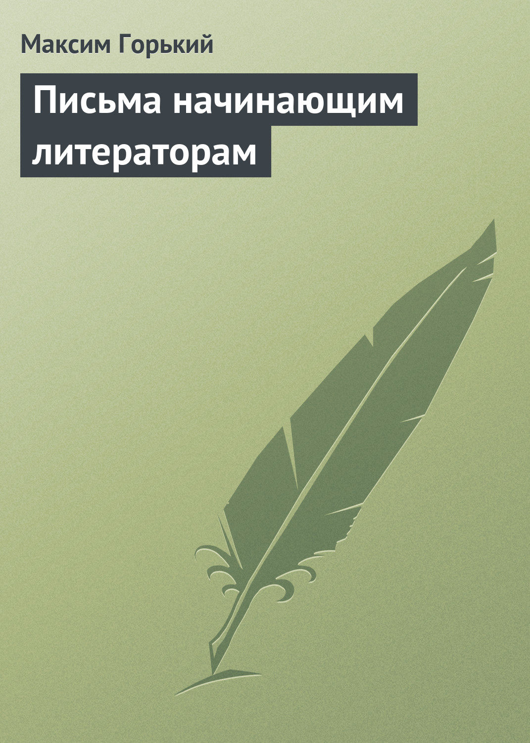 Обложка книги «Письма начинающим литераторам»