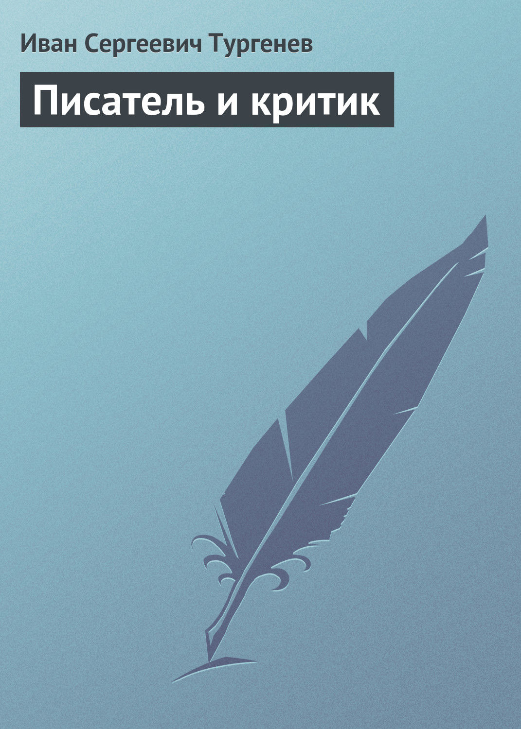 Обложка книги «Писатель и критик»