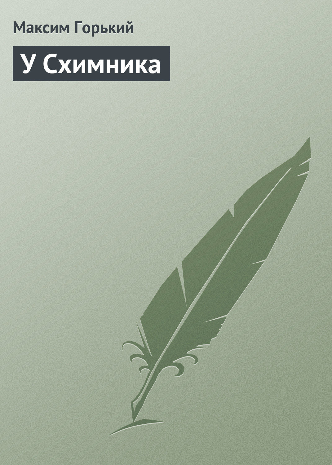 Обложка книги «У Схимника»