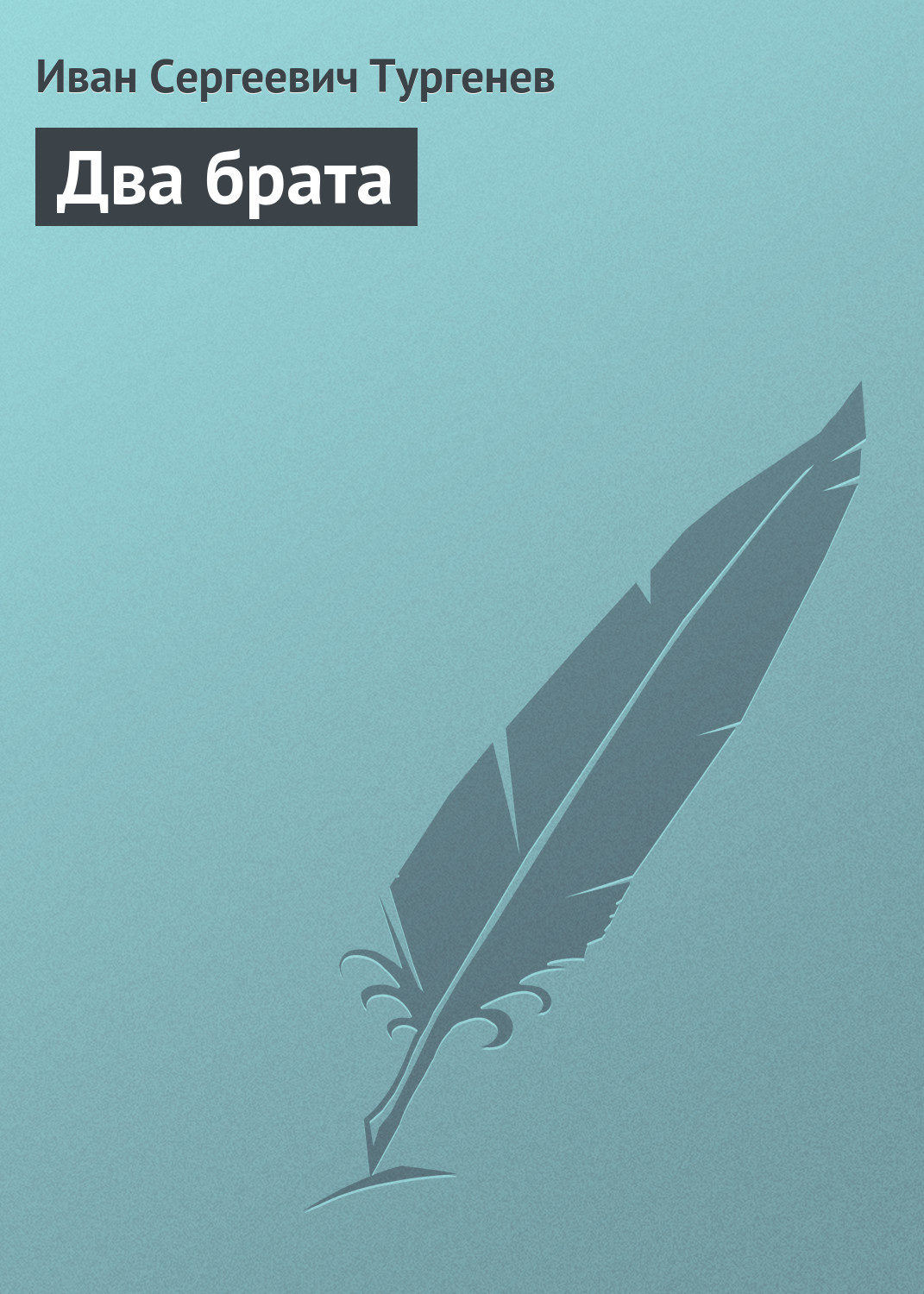 Обложка книги «Два брата»