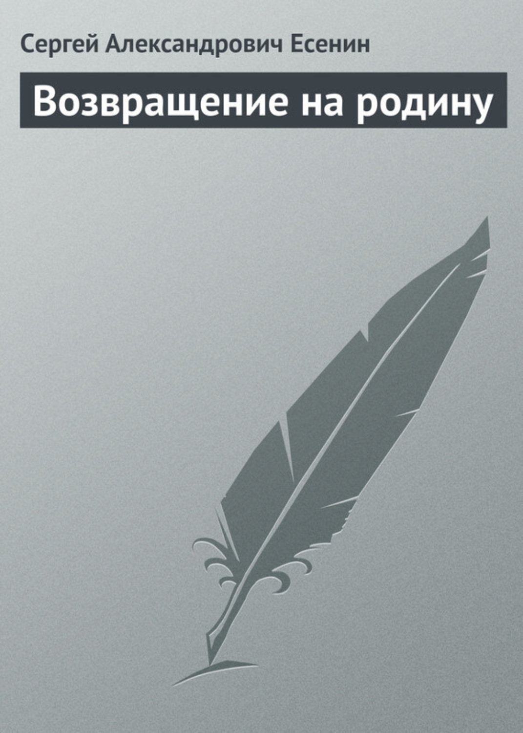 Обложка книги «Возвращение на родину»