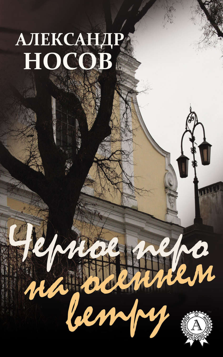 Обложка книги «Черное перо на осеннем ветру»