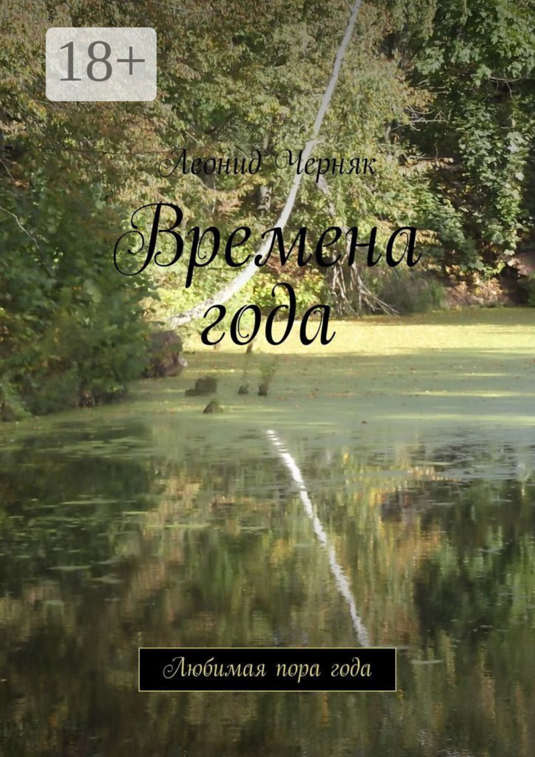 Обложка книги «Времена года. Любимая пора года»