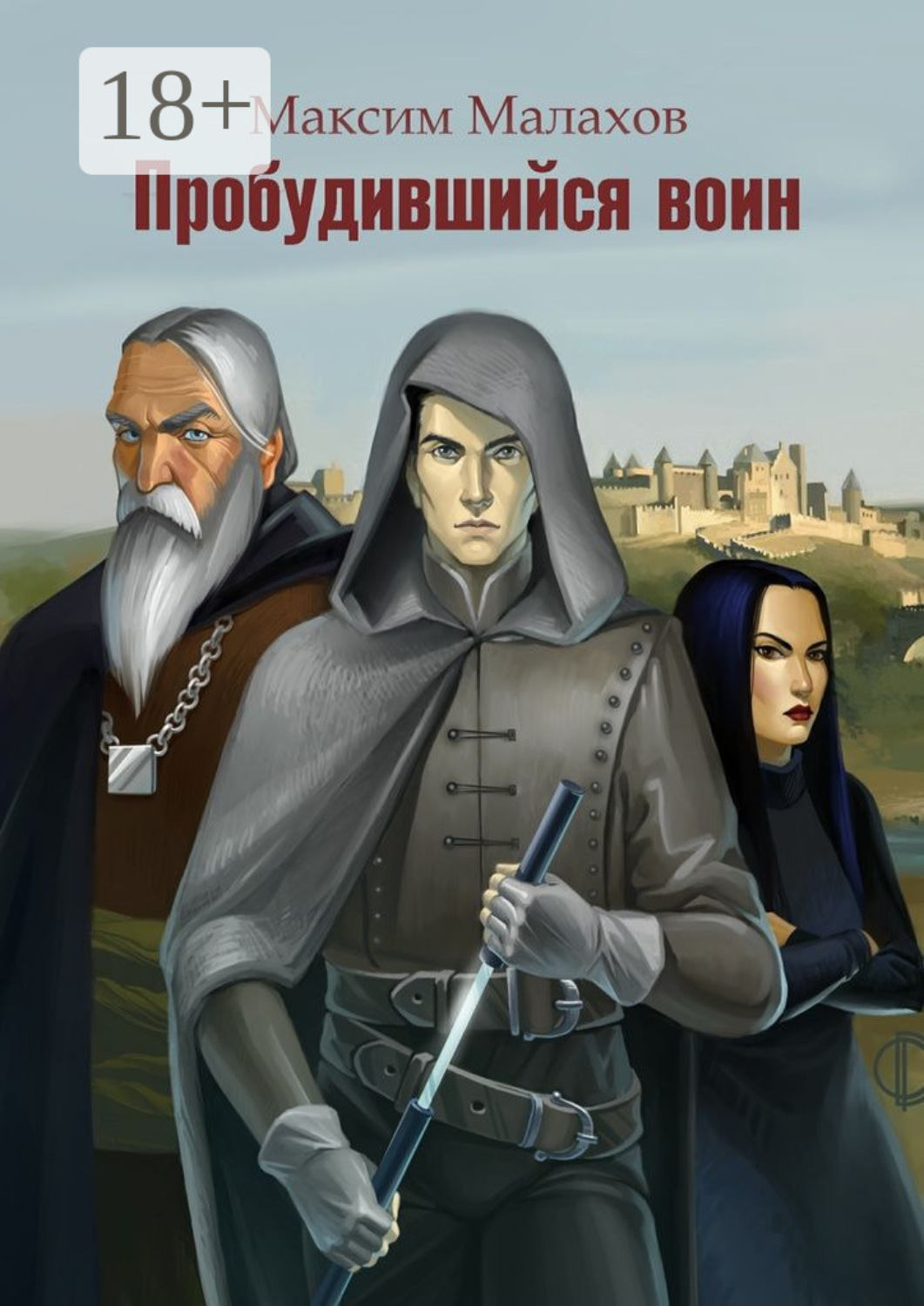 Обложка книги «Пробудившийся воин»