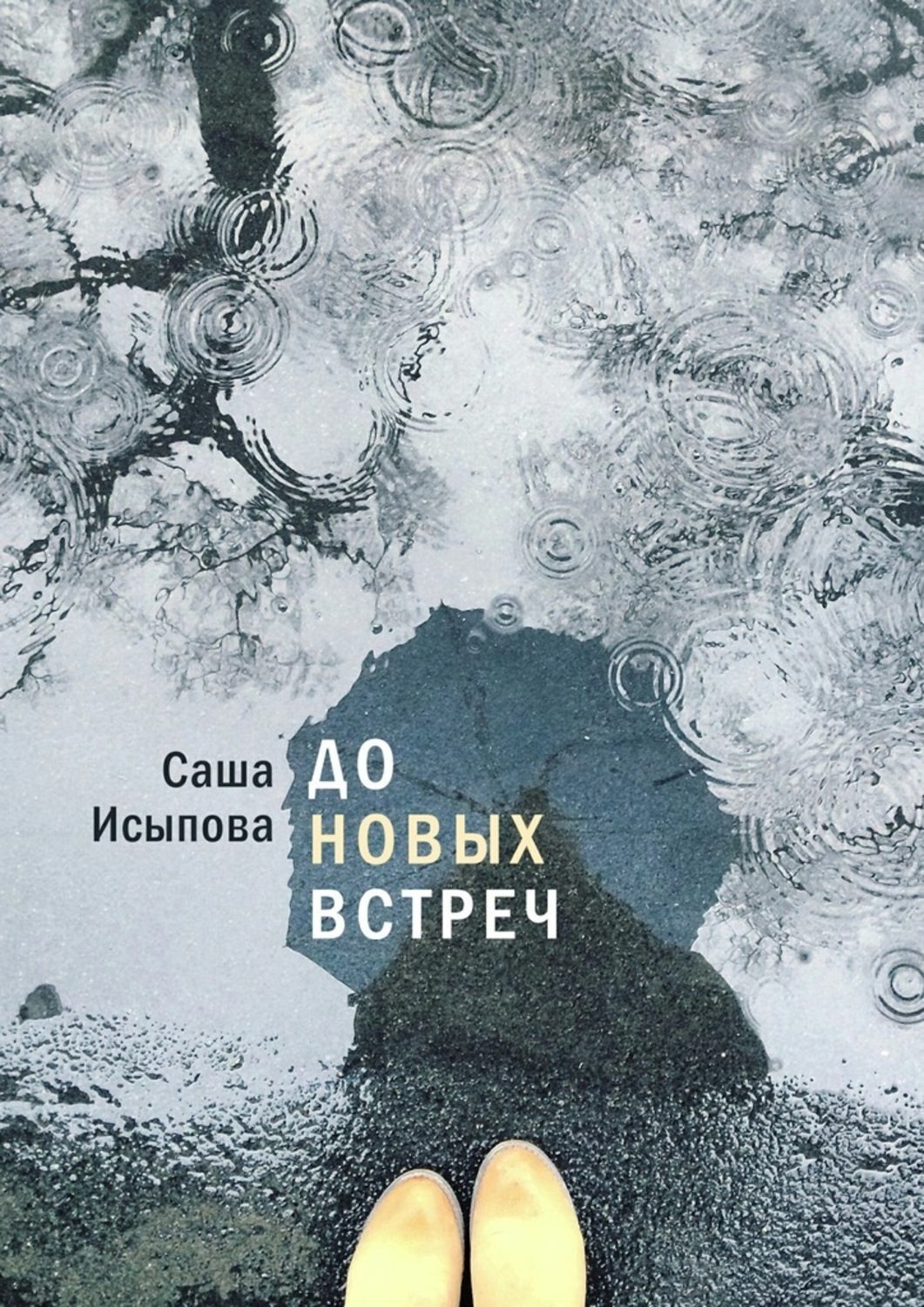 Обложка книги «До новых встреч»