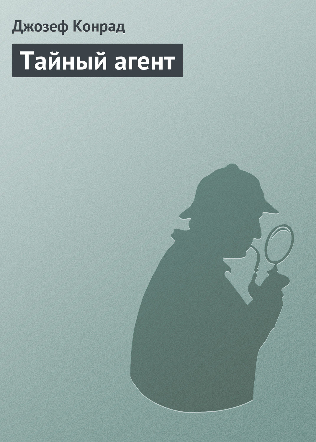 Обложка книги «Тайный агент»