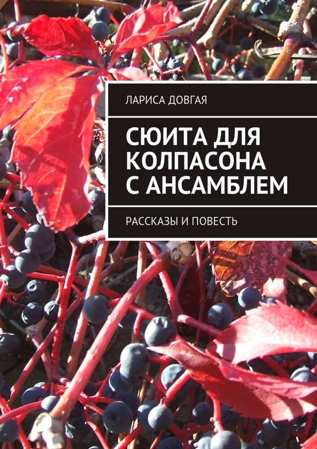 Обложка книги «Сюита для колпасона с ансамблем. Рассказы и повесть»