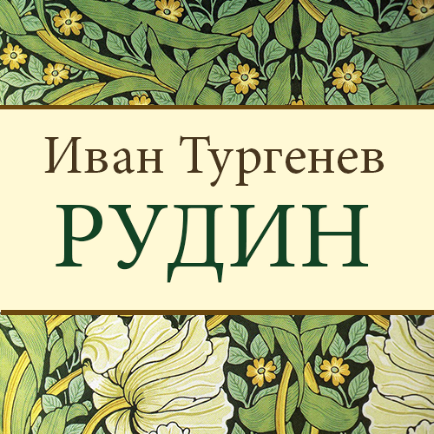 Обложка книги «Рудин»