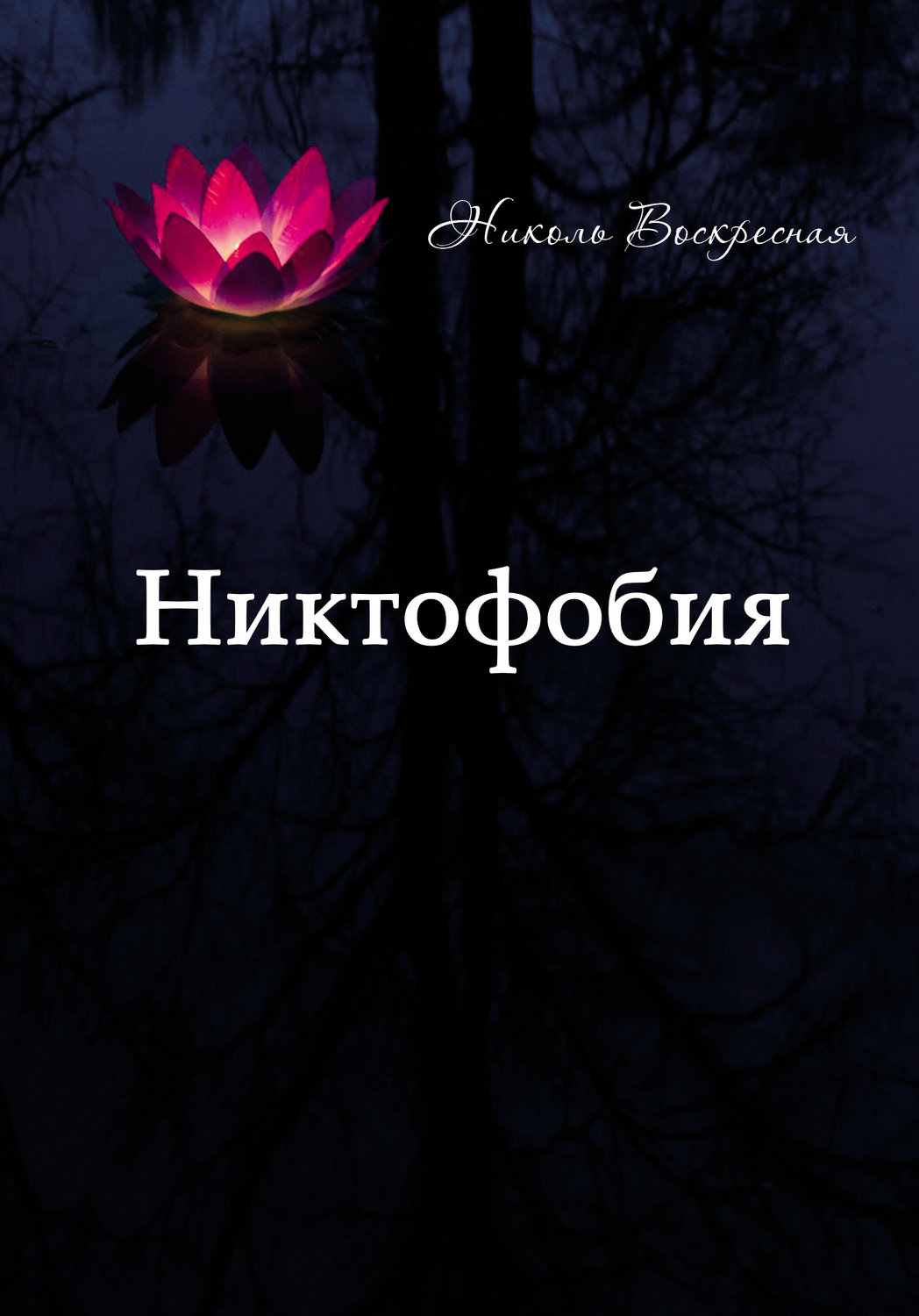 Обложка книги «Никтофобия»