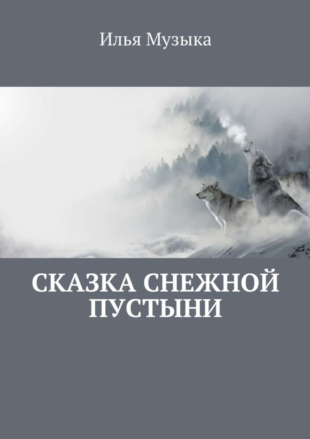 Обложка книги «Сказка снежной пустыни»
