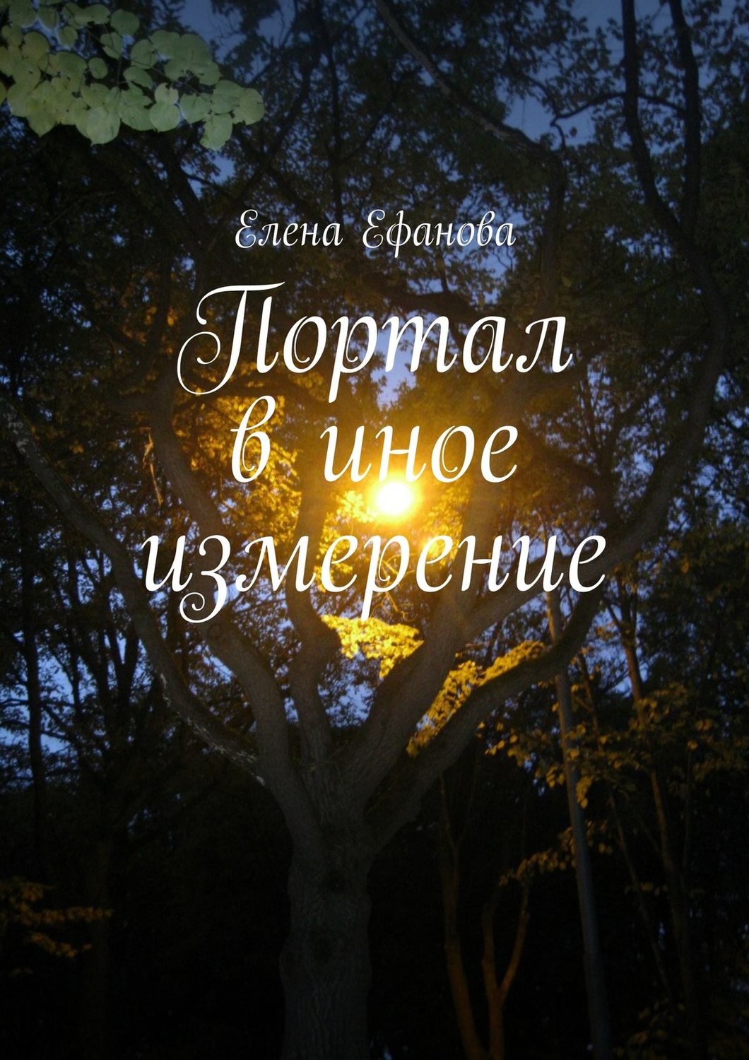 Обложка книги «Портал в иное измерение»