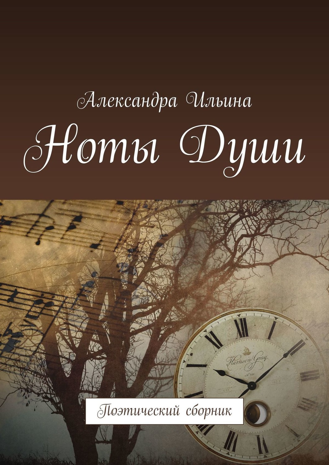Обложка книги «Ноты Души. Поэтический сборник»