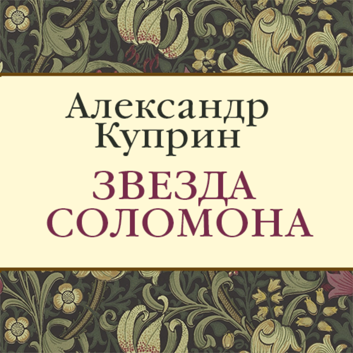 Обложка книги «Звезда Соломона»