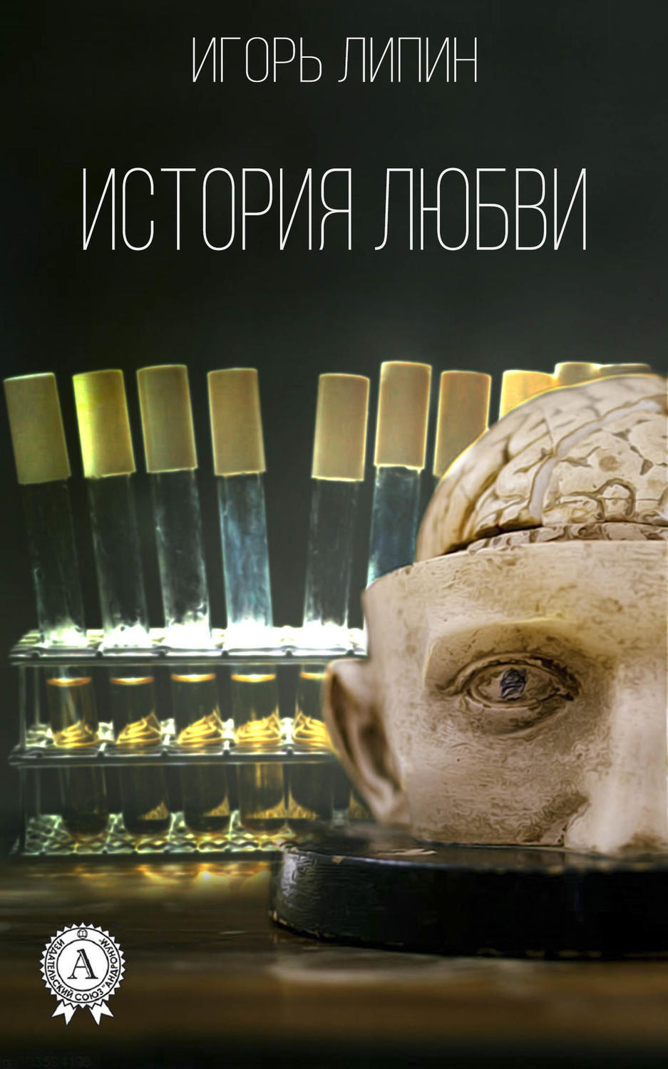 Обложка книги «История любви»
