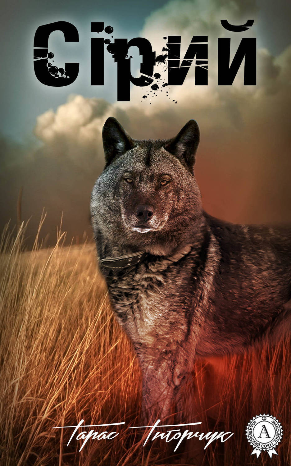 Обложка книги «Сірий»