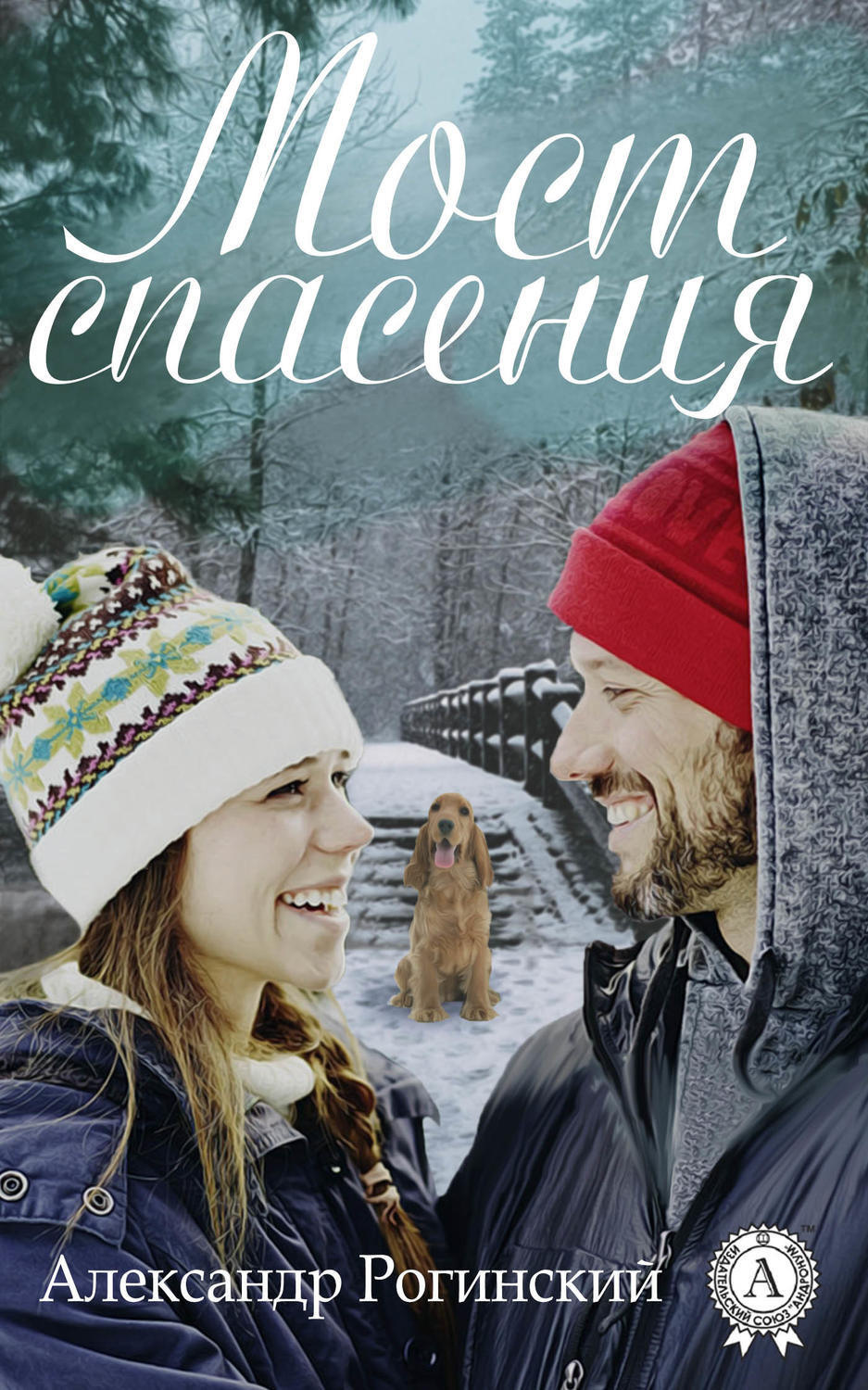 Обложка книги «Мост спасения»