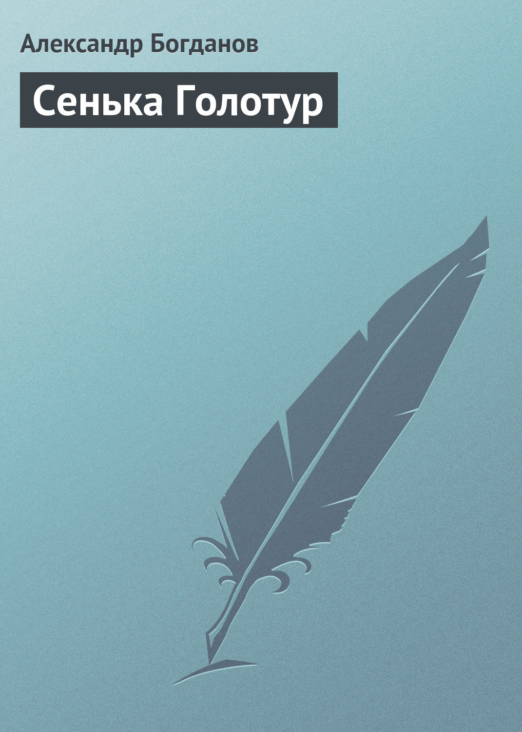 Обложка книги «Сенька Голотур»