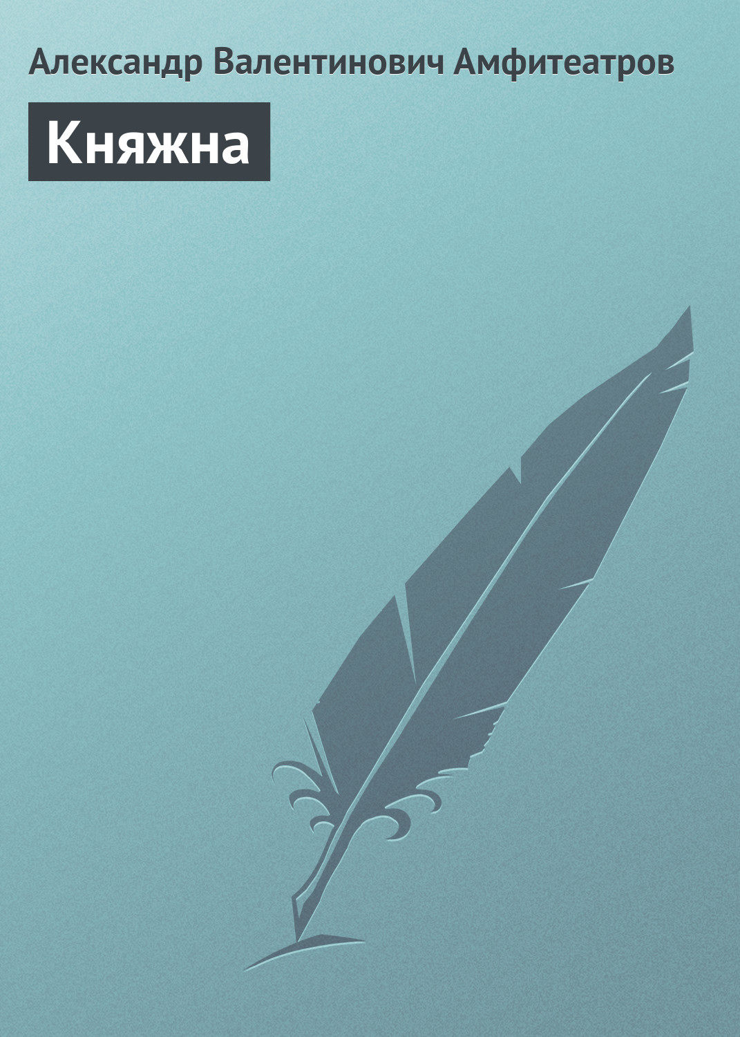 Обложка книги «Княжна»