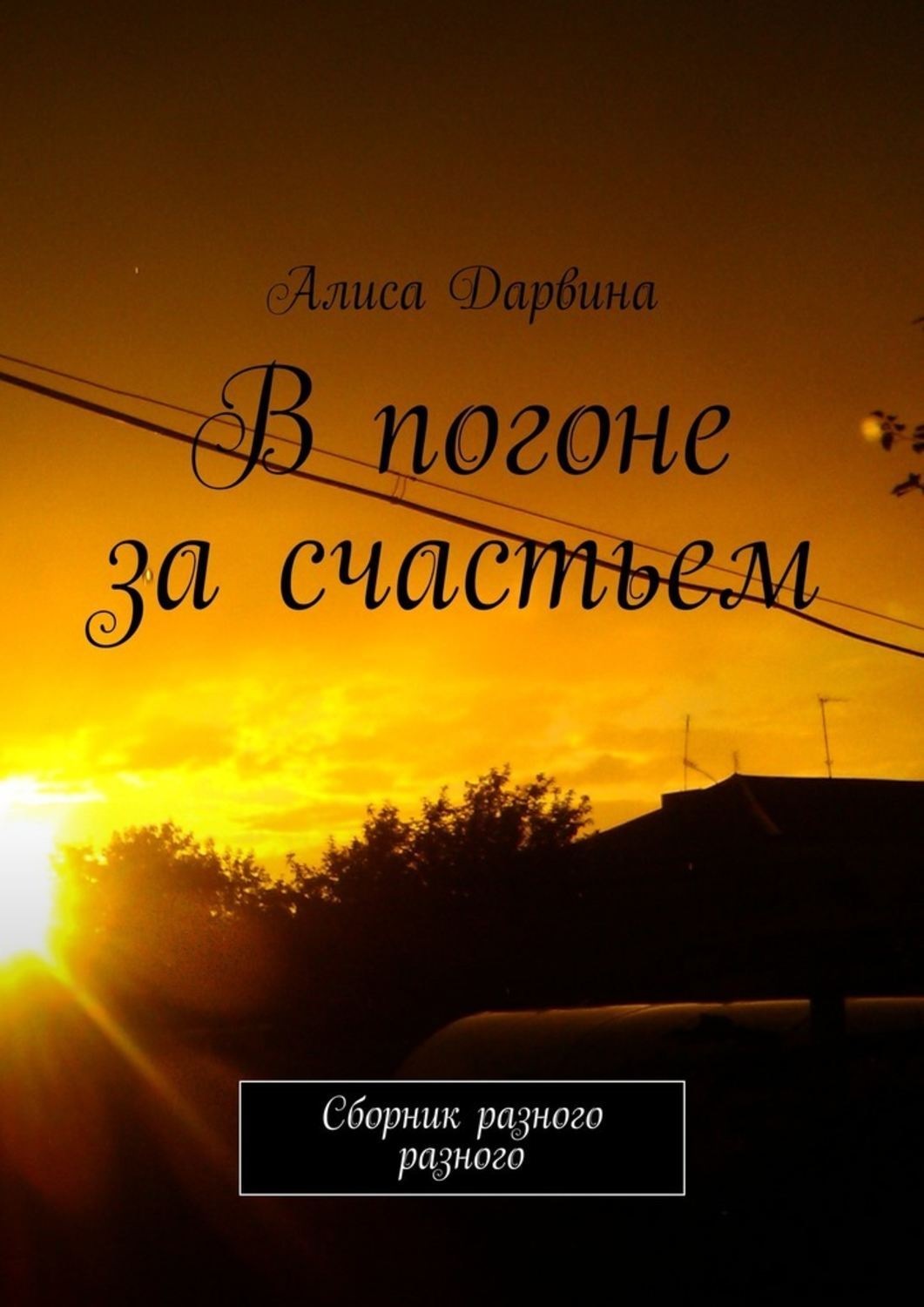 Обложка книги «В погоне за счастьем. Сборник разного разного»