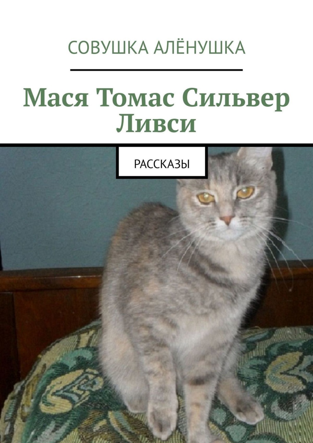 Обложка книги «Мася Томас Сильвер Ливси. Рассказы»