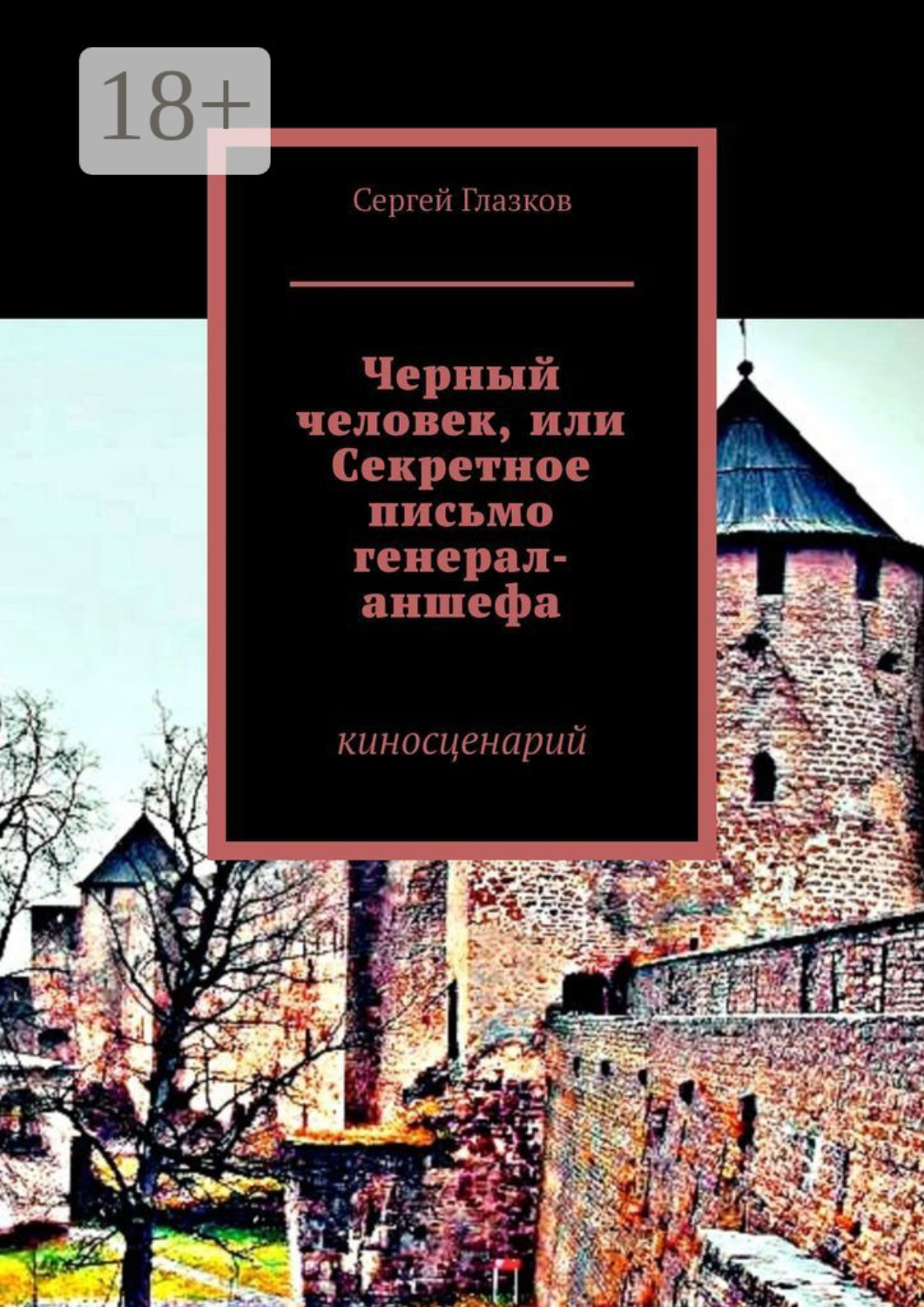 Обложка книги «Черный человек, или Секретное письмо генерал-аншефа. Киносценарий»