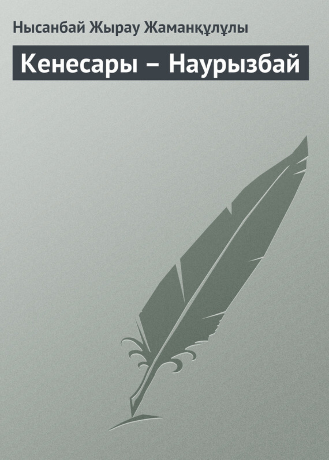 Обложка книги «Кенесары – Наурызбай»