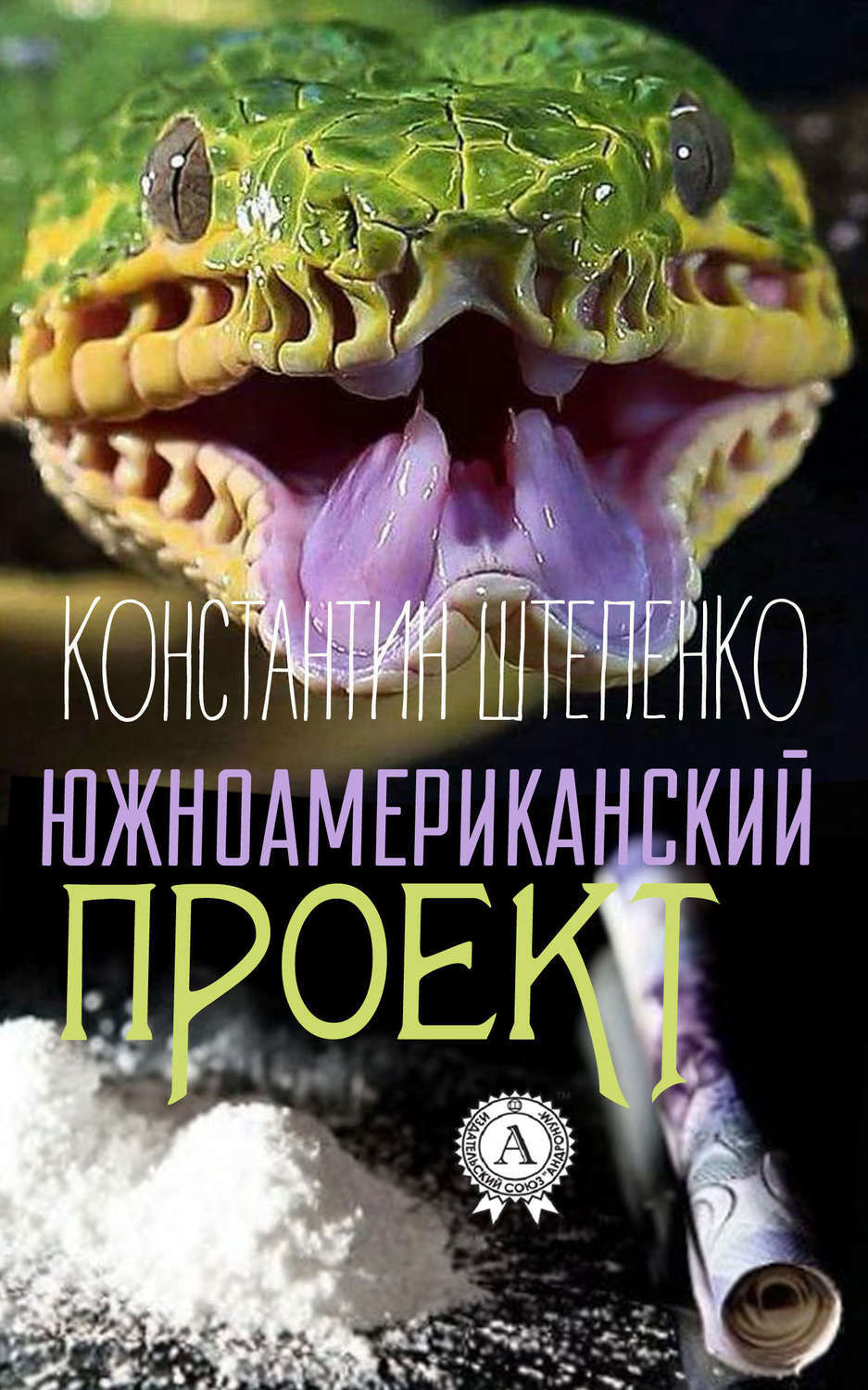 Обложка книги «Южноамериканский проект»