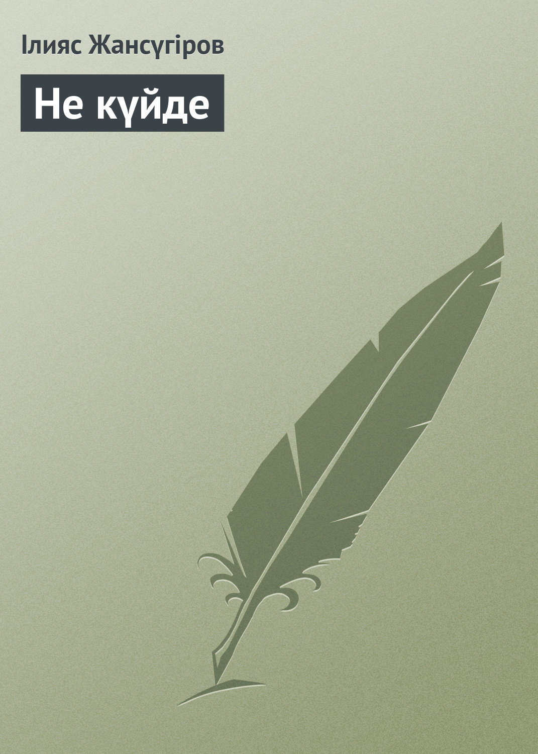 Обложка книги «Не күйде»