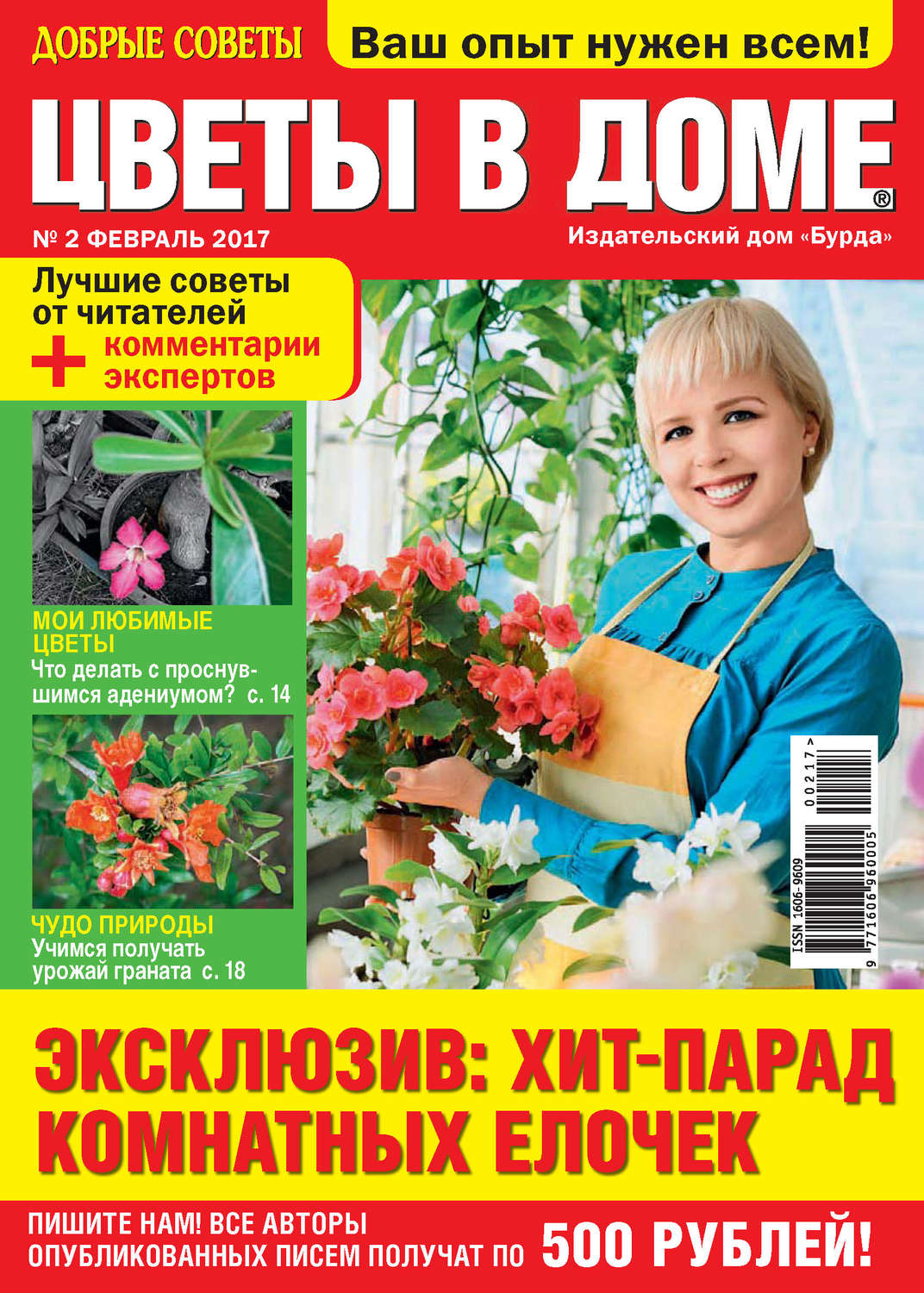 Обложка книги «Добрые советы. Цветы в доме. №02/2017»