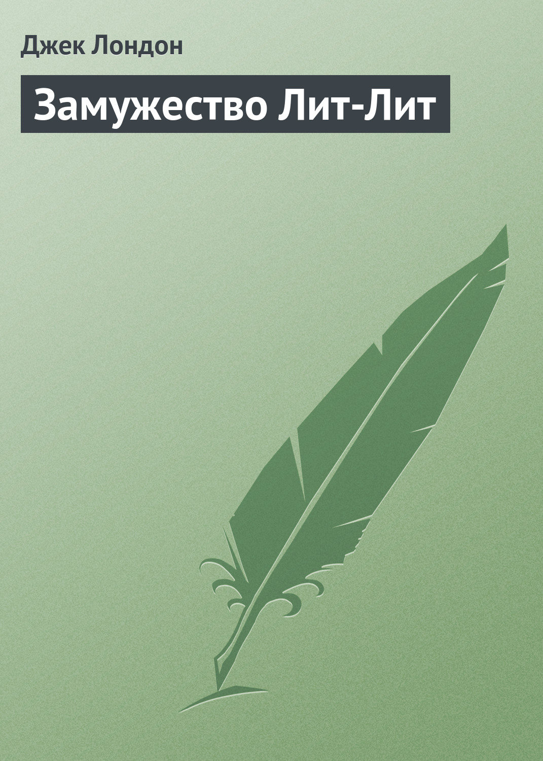 Обложка книги «Замужество Лит-Лит»