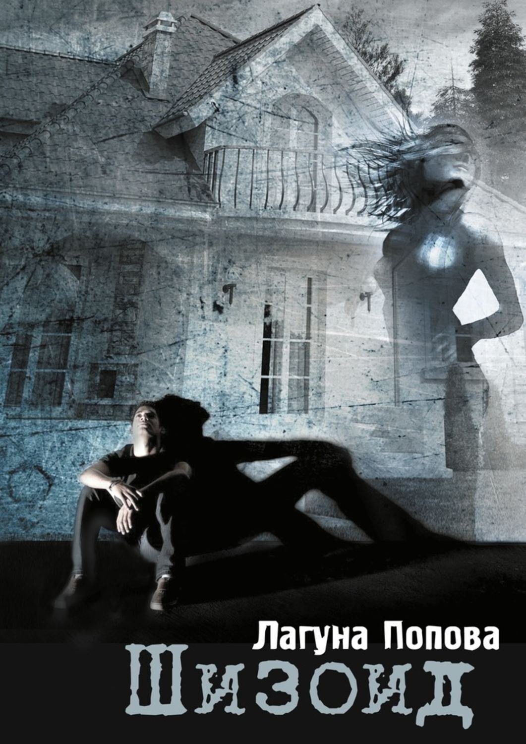 Обложка книги «Шизоид»