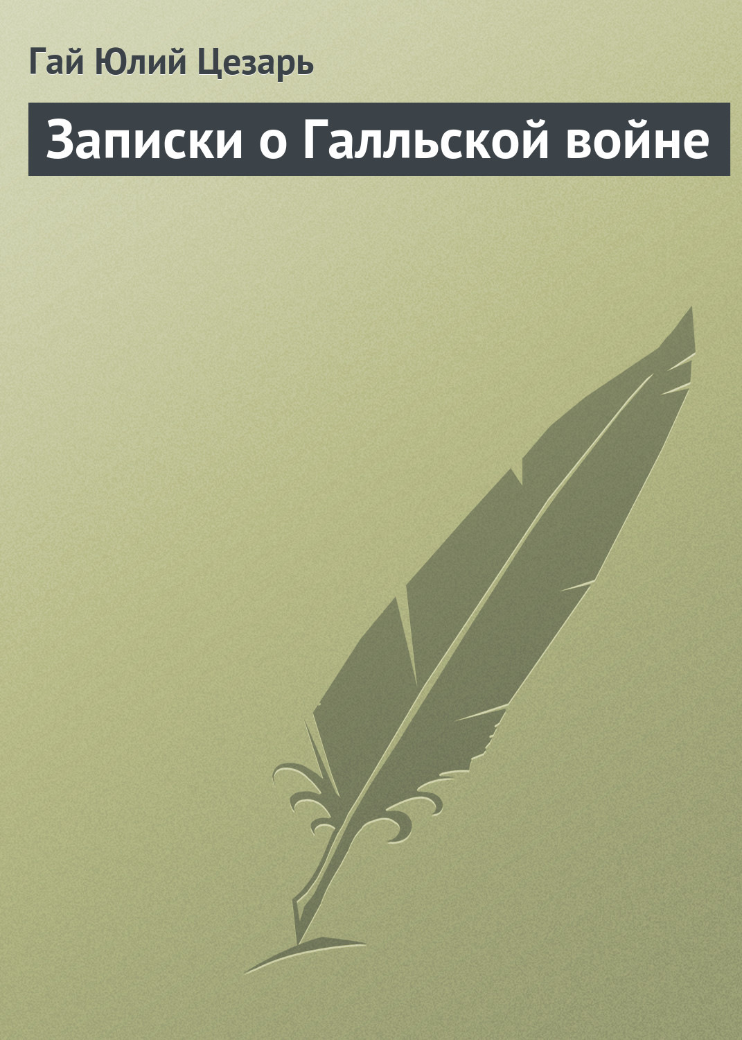 Обложка книги «Записки о Галльской войне»