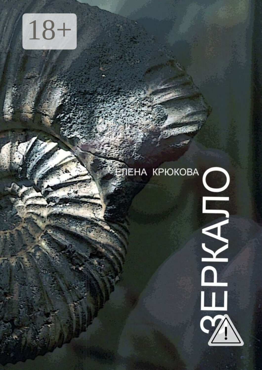 Обложка книги «Зеркало»