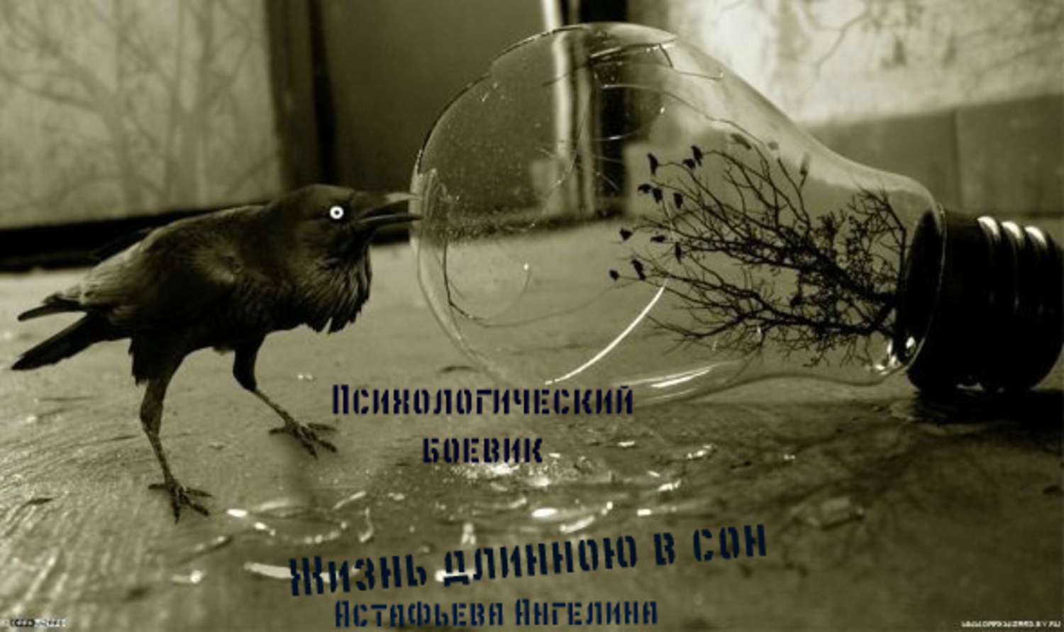 Обложка книги «Жизнь длинною в сон. Социопат»