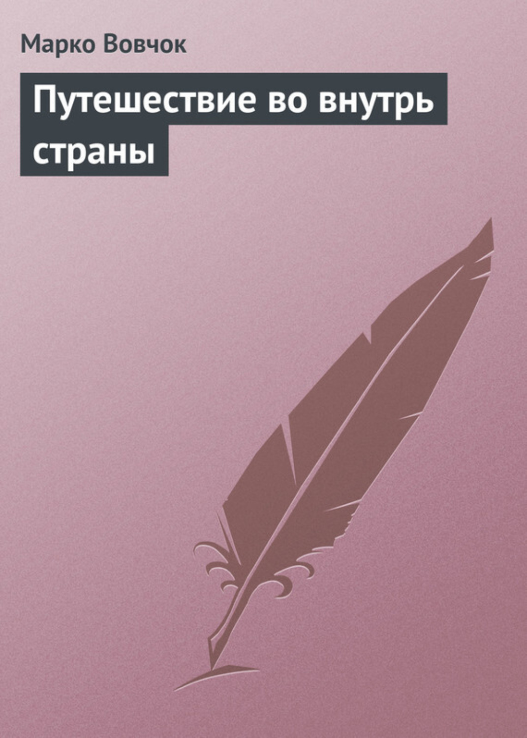Обложка книги «Путешествие во внутрь страны»