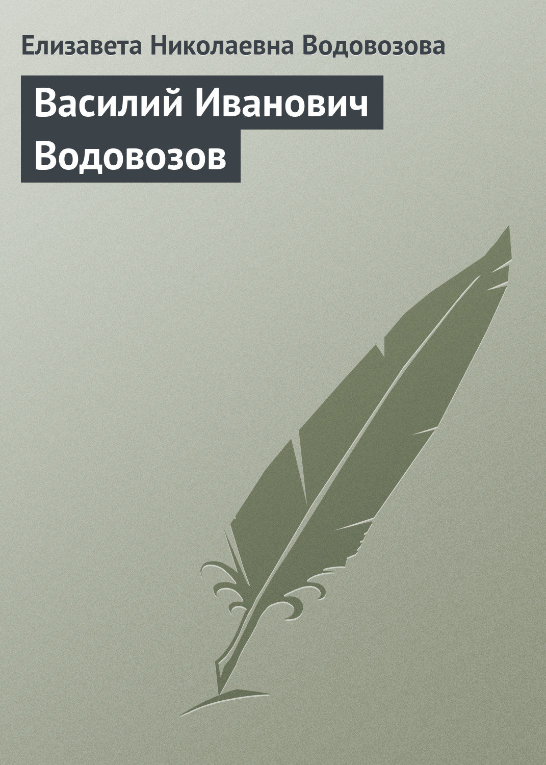 Обложка книги «Василий Иванович Водовозов»