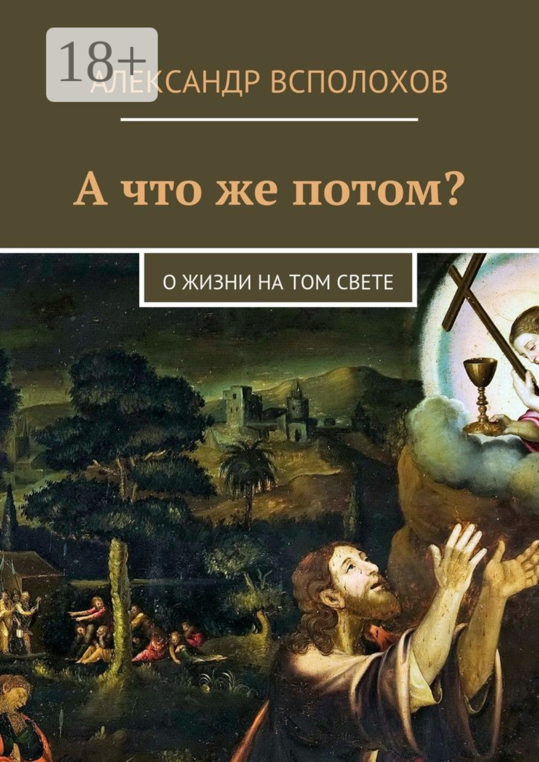 Обложка книги «А что же потом? О жизни на том свете»