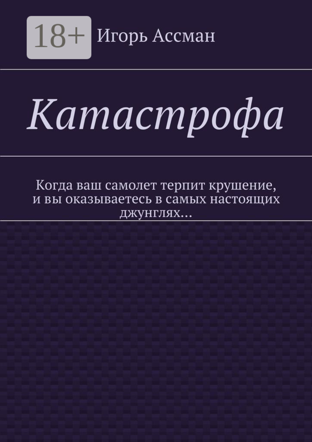 Обложка книги «Катастрофа»