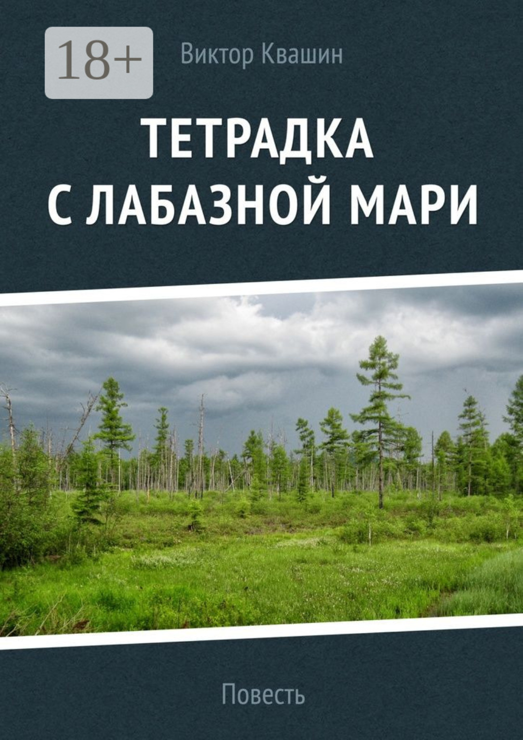 Обложка книги «Тетрадка с лабазной мари»